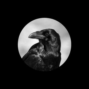 男人吃奶揉捏奶视频
