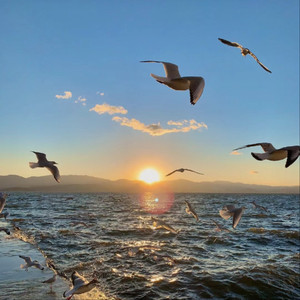 男人吃奶揉捏奶视频
